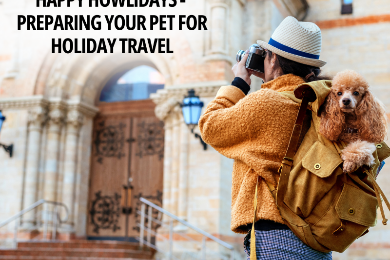 Happy Howlidays Preparing Your Pet for Holiday Travel
